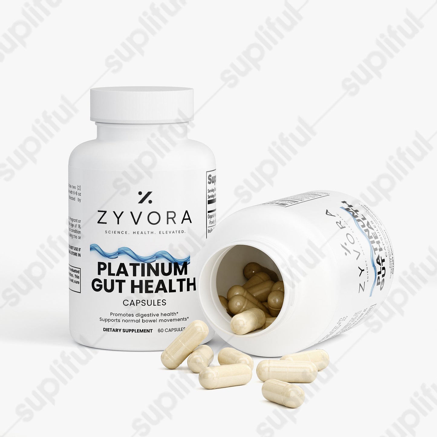 Premium Gut Health Capsules